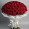 Букет 101 Красная роза Блэк Мэджик в Запорожской