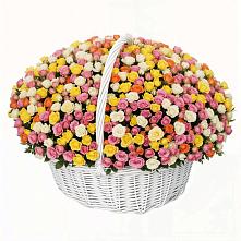 Премиум букет из: Розы в Запорожской