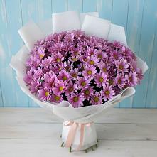 Букет цветов из:  Хризантемы в Запорожской