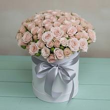 Цветочная композиция из Розы в шляпной коробке #REPLACE_PRED# Запорожской