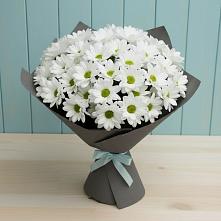Букет цветов из:  Хризантемы #REPLACE_PRED# Запорожской