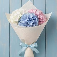 Букет цветов из:  Гортензия в Запорожской