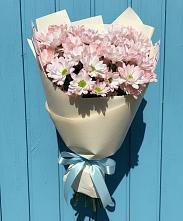 Букет цветов из:  Хризантемы #REPLACE_PRED# Запорожской