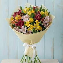 Букет цветов из:  Альстромерии #REPLACE_PRED# Запорожской