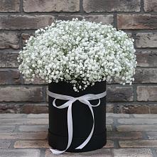 Цветочная композиция из Гипсофила в шляпной коробке в Запорожской