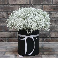 Цветочная композиция из Гипсофила в шляпной коробке в Запорожской