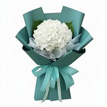Букет цветов из:  Гортензия в Запорожской